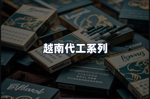 越南代工系列
